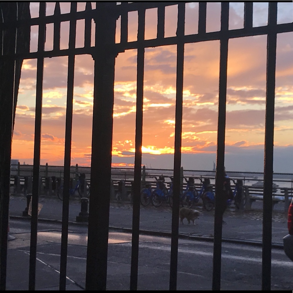 Meet your Posher, Casey