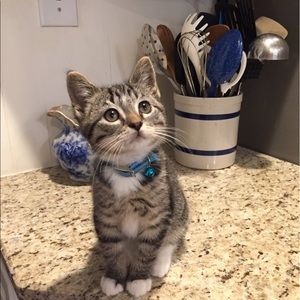 Meet your Posher, Becca