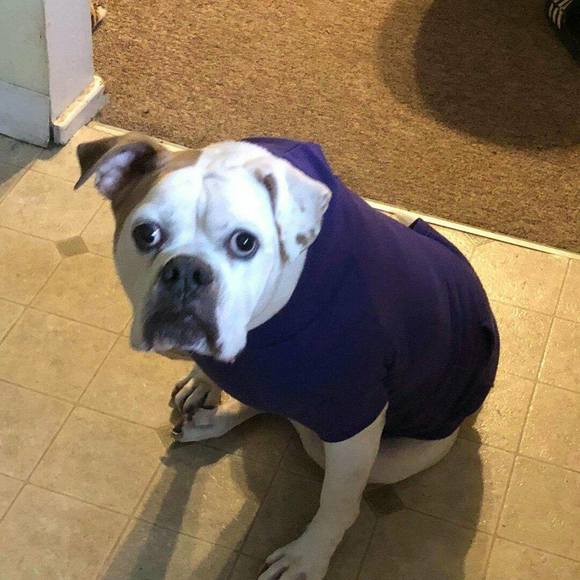 Meet your Posher, Joshua - Picture 1 of 1