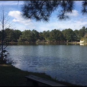 Meet your Posher, Bea