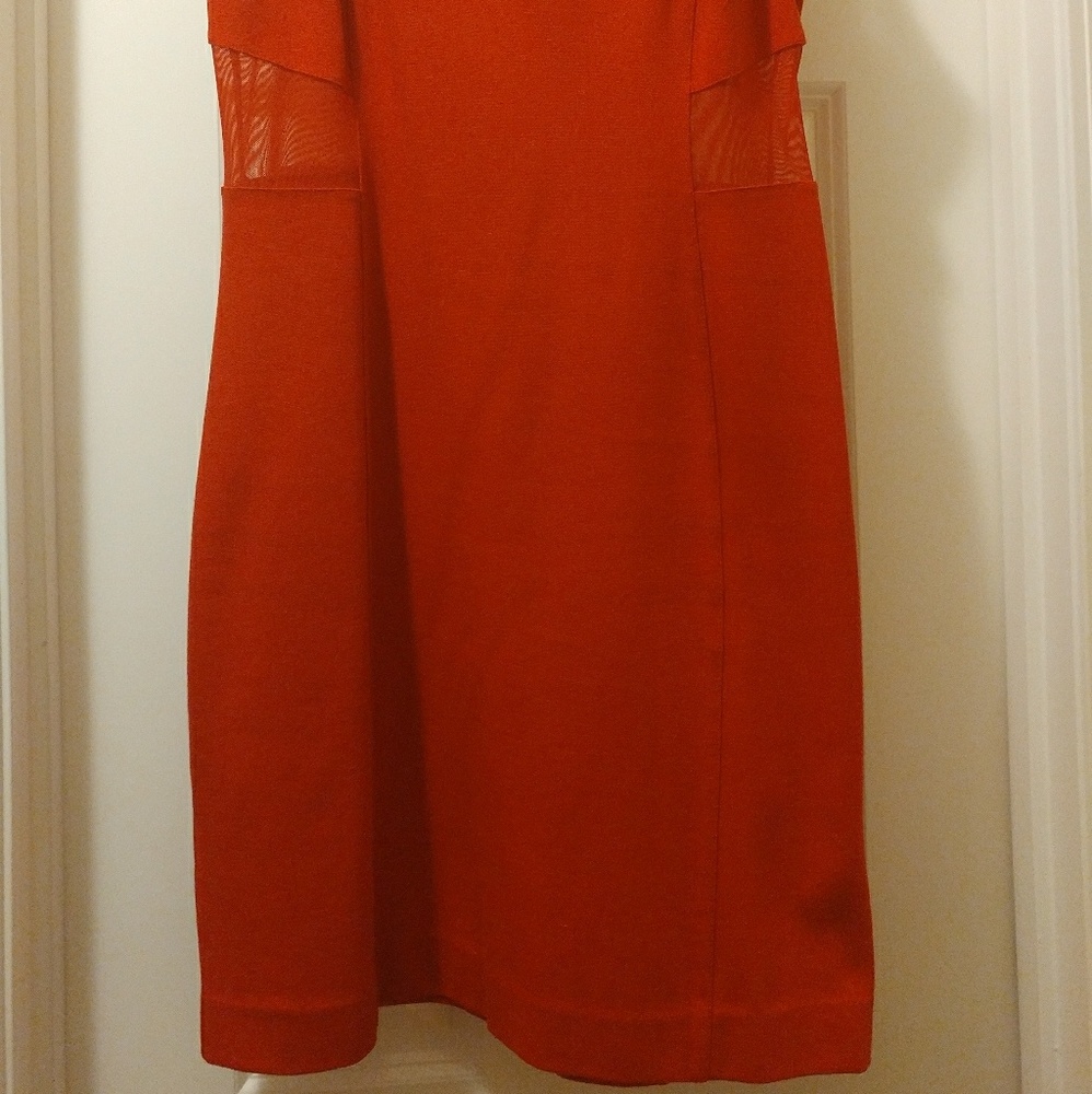 Party Dress - Picture 3 of 3