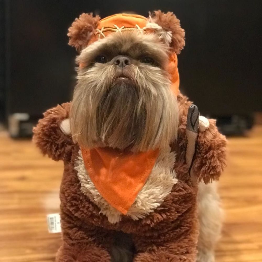 Meet your Posher, Cynthia