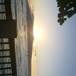 Meet your Posher, Priscilla