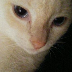 Meet your Posher, Krystal