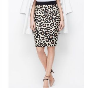 Ann Taylor Pencil Skirt-NWT