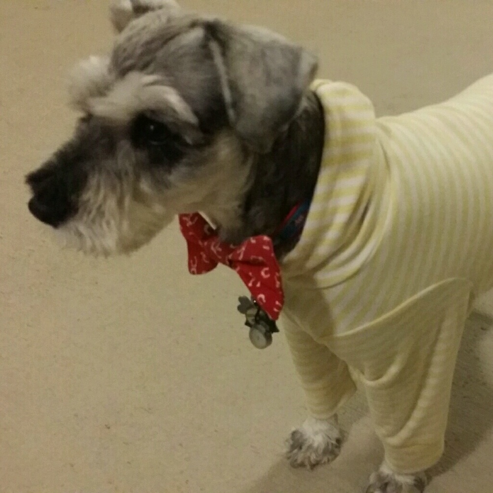 Meet your Posher, Christine