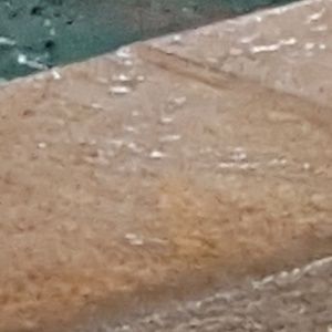 Meet your Posher, Olga