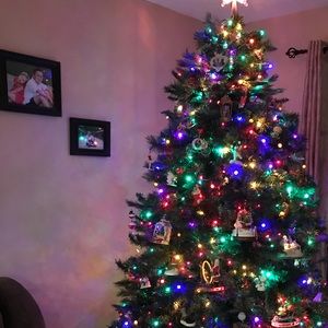 Meet your Posher, Jessie