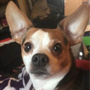 Meet your Posher, Destiny