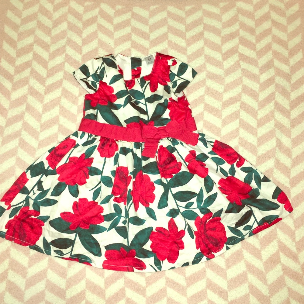 Carters Holiday / Christmas Dress
