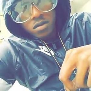 Meet your Posher, Sylvester