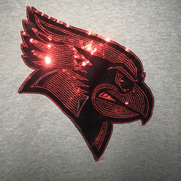 Victoria Secret Pink Illinois State Sweatshirt - Picture 3 of 4