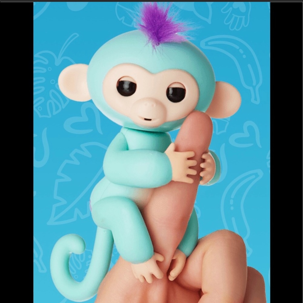 Fingerling monkey Zoe very cute