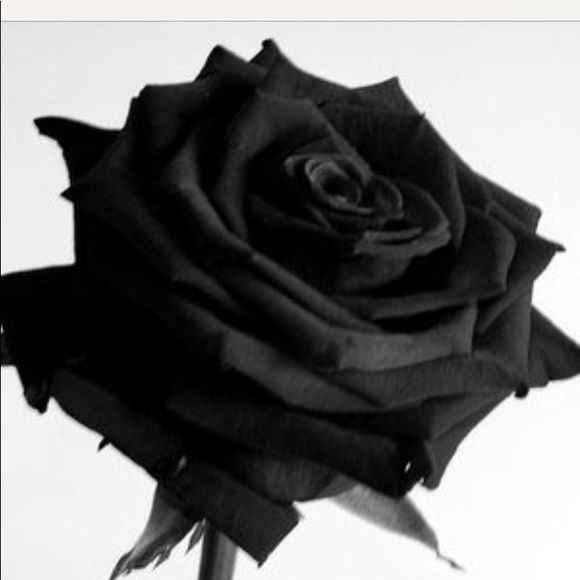 Bookmark Me! - Picture 6 of 8