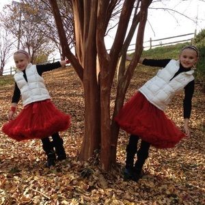 Petticoat Red TuTu