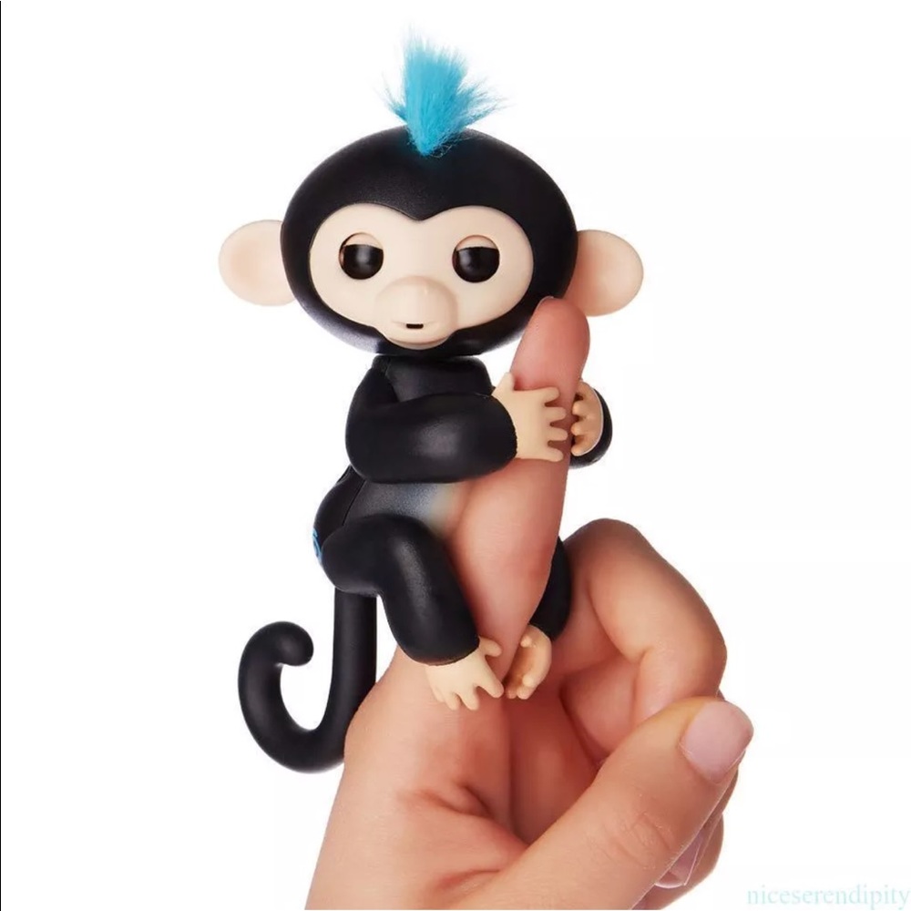 Fingerling monkey Finn super cute