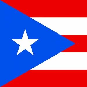 Meet your Posher, Harry