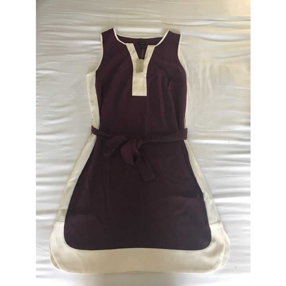 Brand new Ann Taylor dress