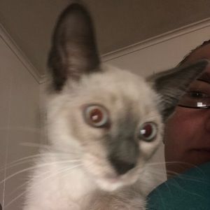 Meet your Posher, Nicole