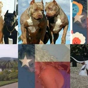 Meet your Posher, Tiara