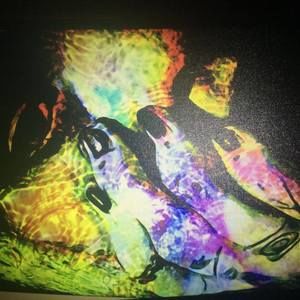 Meet your Posher, Diane