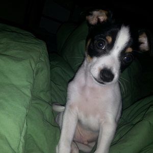 Meet your Posher, Jackie