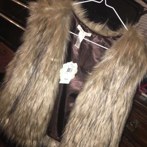 Fur Vest