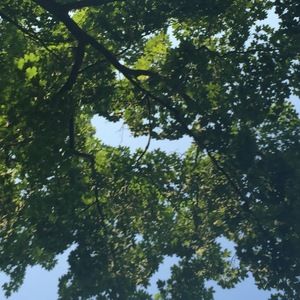 Meet your Posher, Lynnae