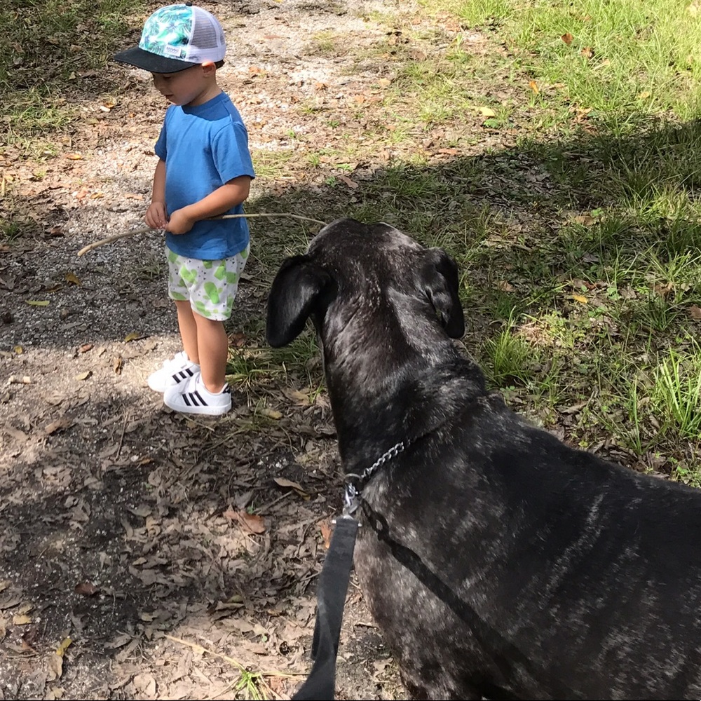 Meet your Posher, Tyler