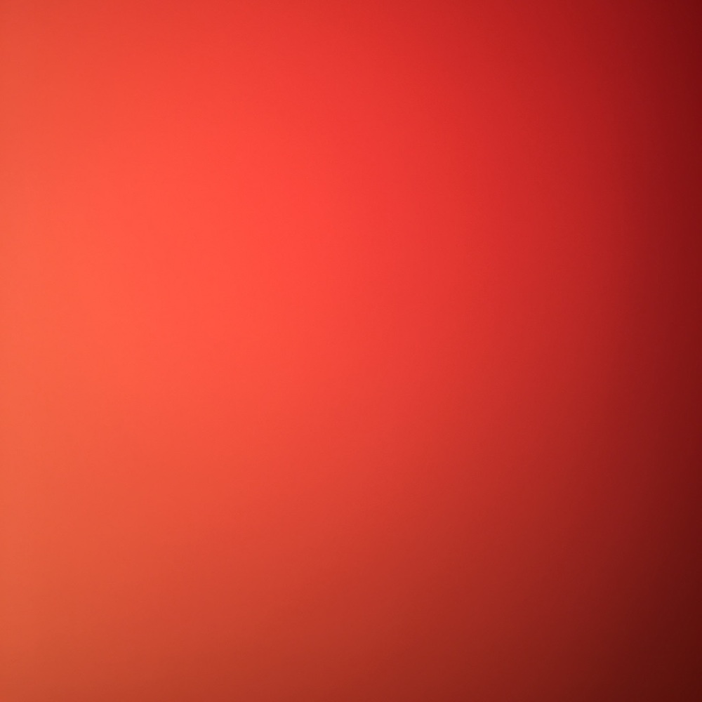 Meet your Posher, Maddie