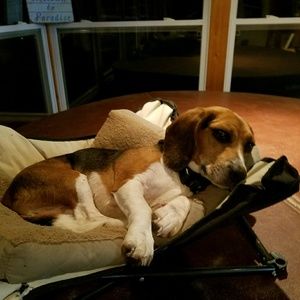 Meet your Posher, Tabitha