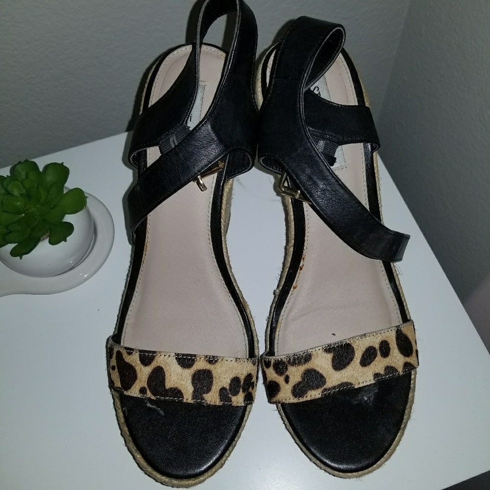 Beautiful and chic shoes