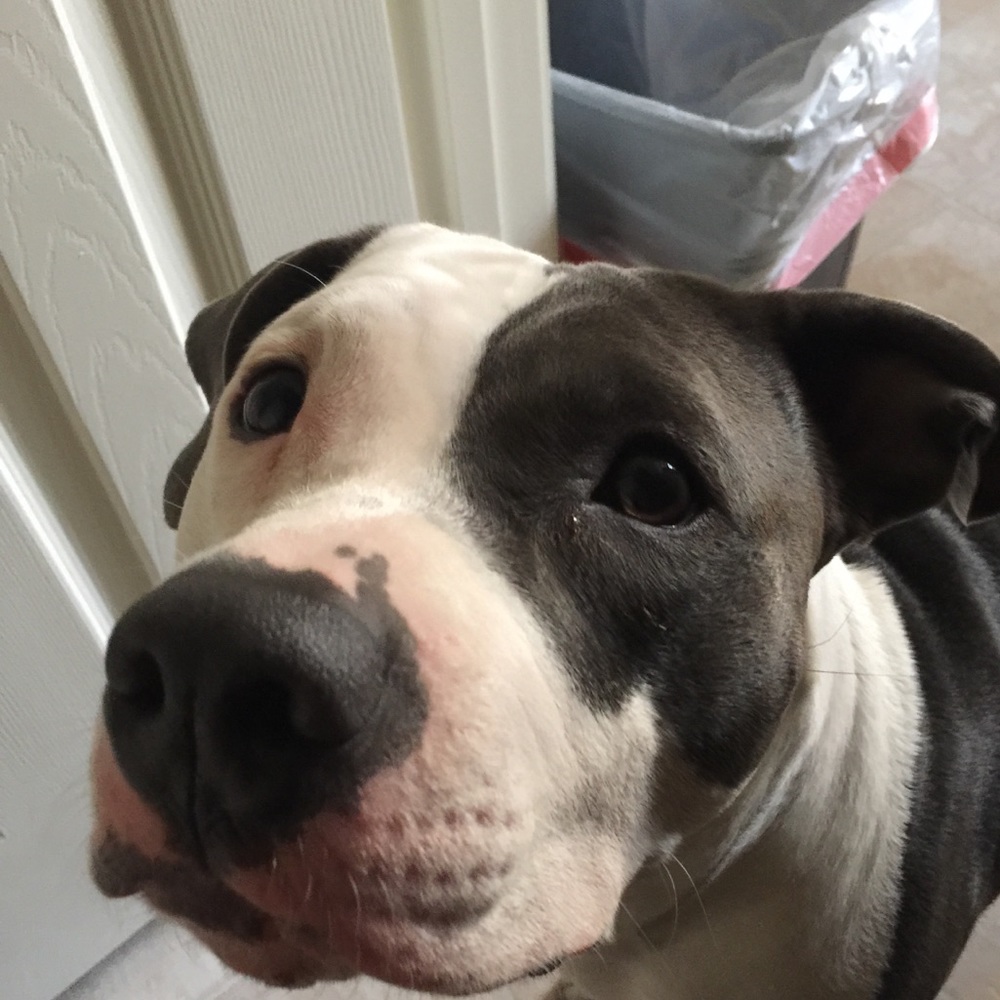 Hello! I’m Laila 🤗 Check out my little shop 💝