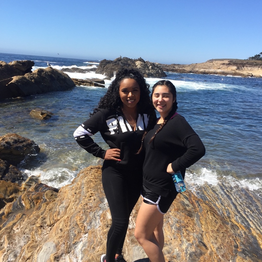 Meet your Posher, Taylor