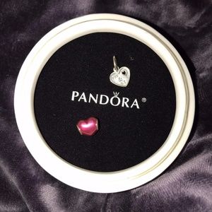 💗 Love Pandora Charms 💗