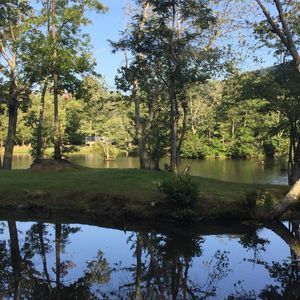 Meet your Posher, Emerson