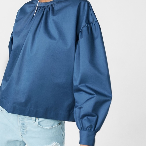 ❗️⬇️PRICE DROP Blue Express Puff Sleeve blouse - Picture 3 of 5