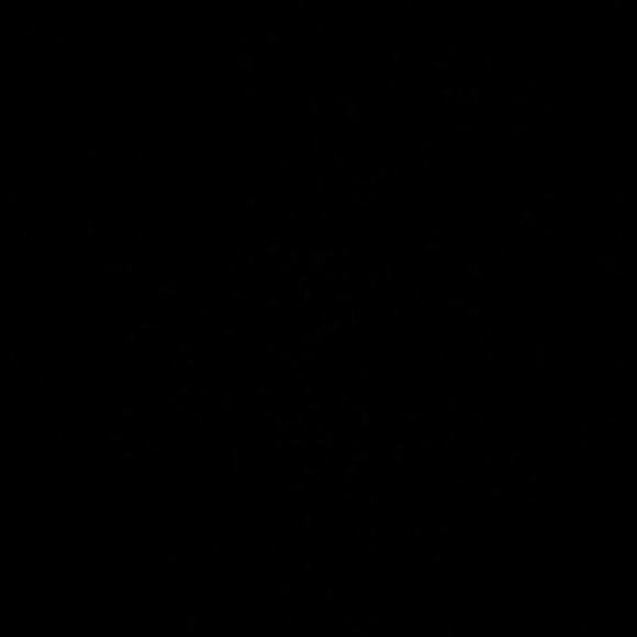 Meet your Posher, Raul - Picture 1 of 1