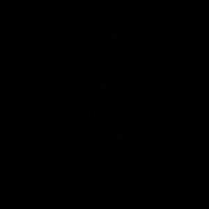 Meet your Posher, Raul