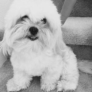 Meet your Posher, Connie