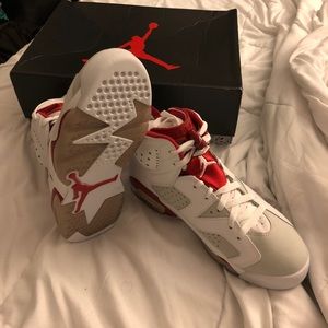 Air Jordan 6 retro