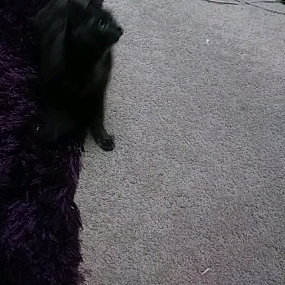 Meet your Posher, Carlos