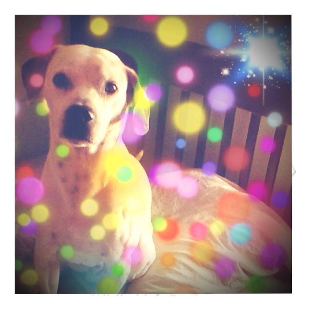 Meet your Posher, Monica