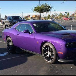 Meet your Posher, Martin