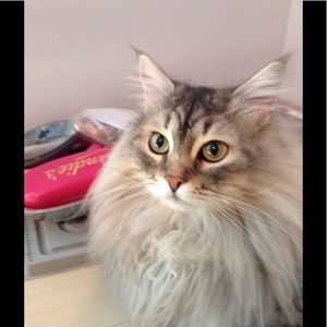 Meet your Posher, Erika