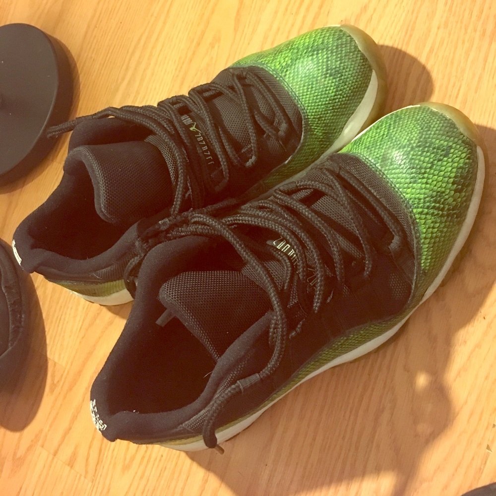 Snake Skin 11