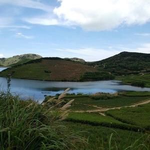 Meet your Posher, Wade