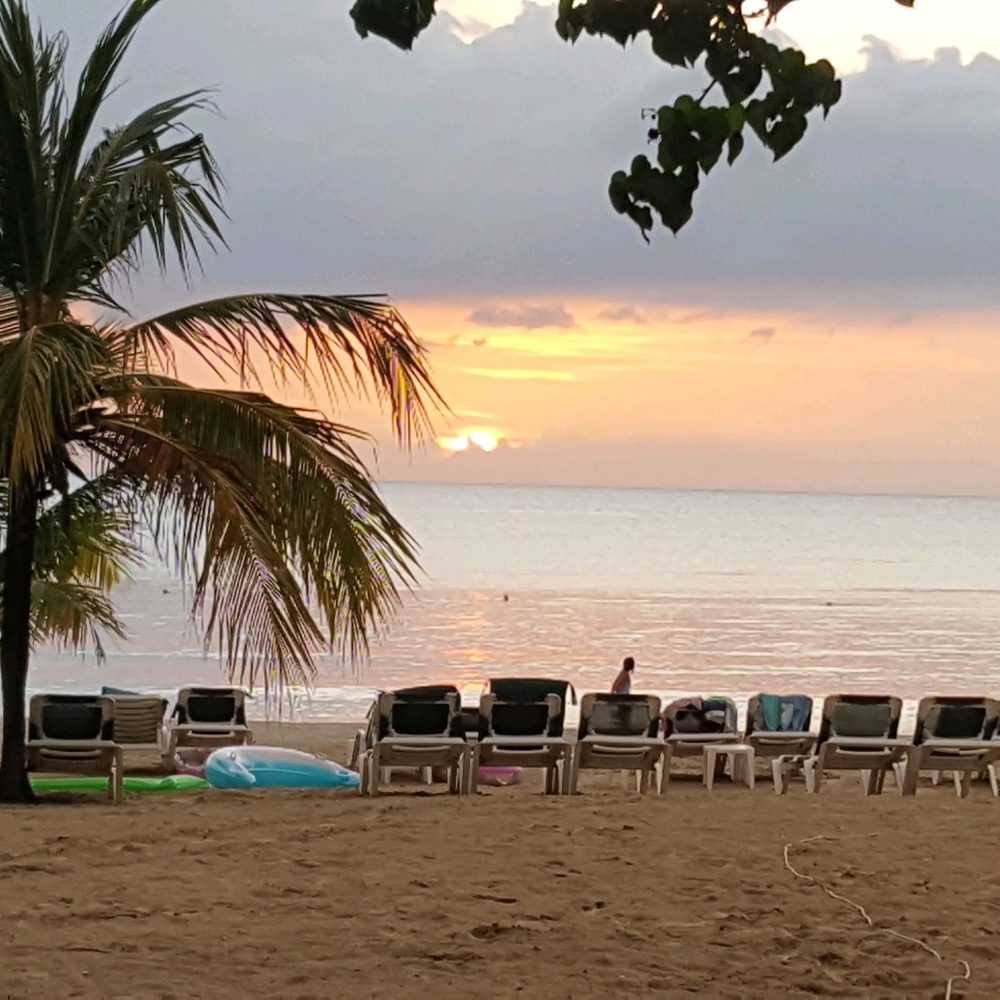 Meet your Posher, Rita