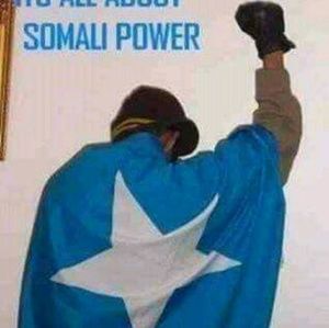 Meet your Posher, Fardosa