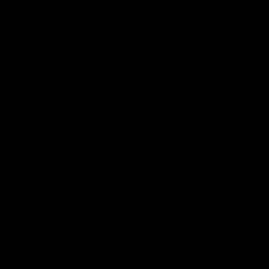 Meet your Posher, Coco